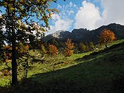 44 Pianoro alla Cascina dei Foppi (1600 m)